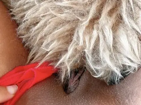 Cutest desi pussy ever